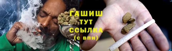 прущие грибы Волоколамск