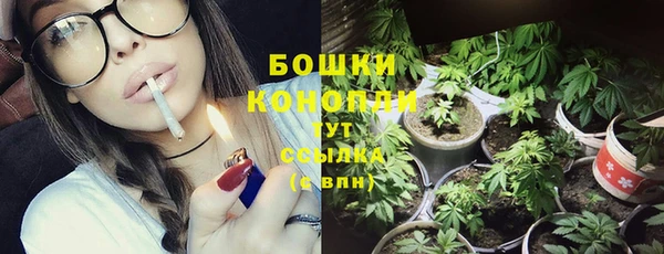 сатива Волосово