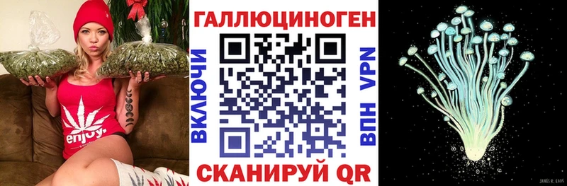 Псилоцибиновые грибы GOLDEN TEACHER  omg как войти  Заозёрный  хочу  